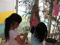 IMG_9488.jpg
