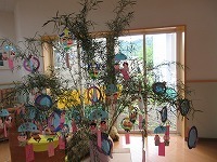 IMG_9500.jpg
