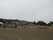 IMG_9530.jpg