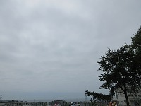 IMG_9598.jpg