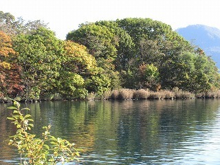 IMG_9694.jpg