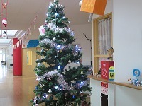 IMG_9738.jpg