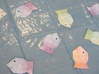 IMG_9777.jpg