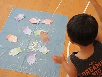 IMG_9786.jpg